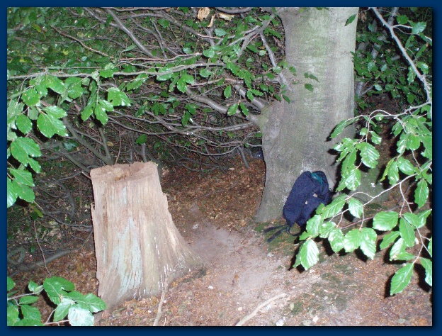 600x449 pixels (196K)